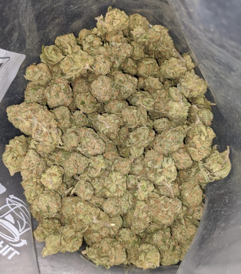 Zombie Kush - Image 6