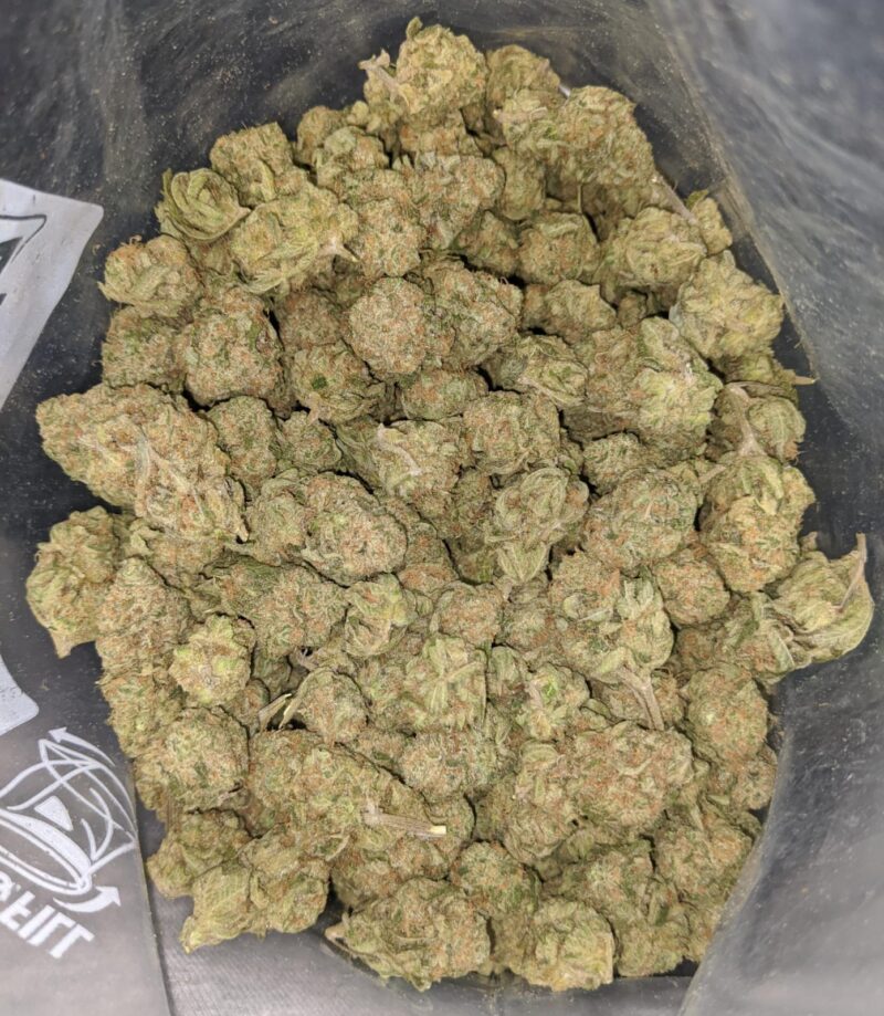 Zombie Kush - Image 5