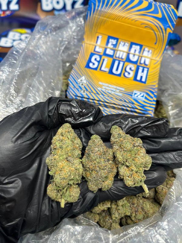 LEMON SLUSH STRAIN
