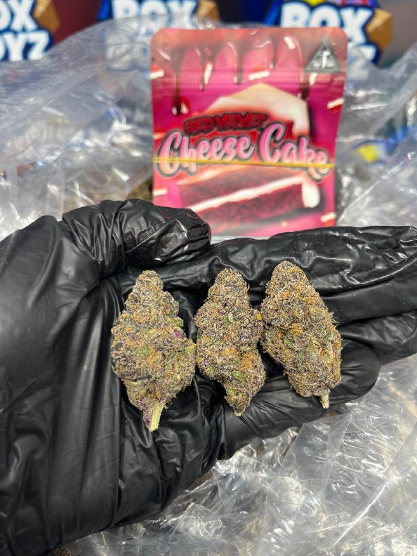 RED VELVET CHEESECAKE strain