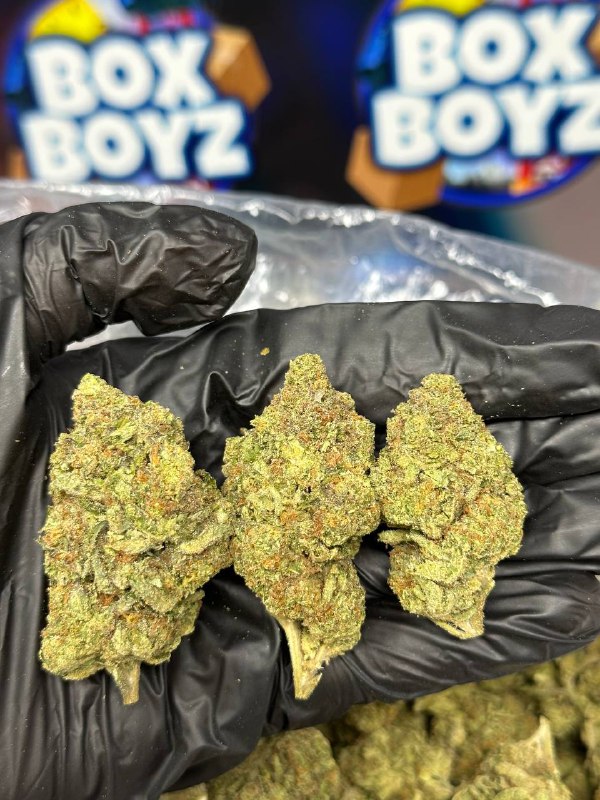 Blue Razz Slushie Strain