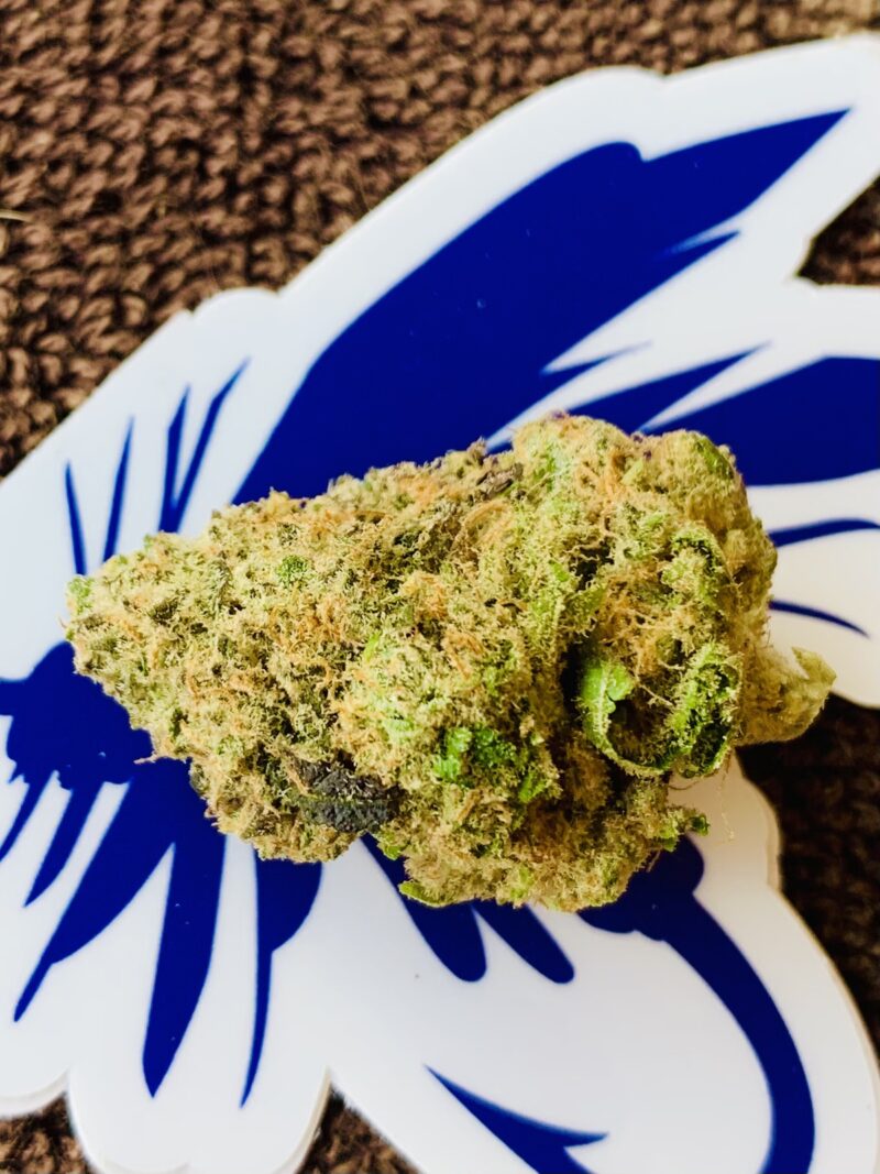 blue m&m sprinklez strain - Image 2