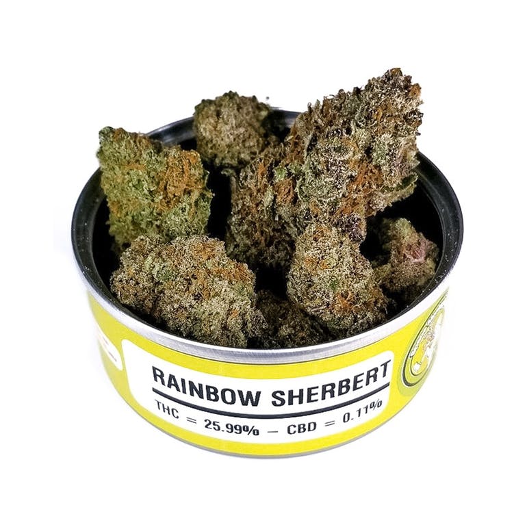 Space Monkey 50 tins