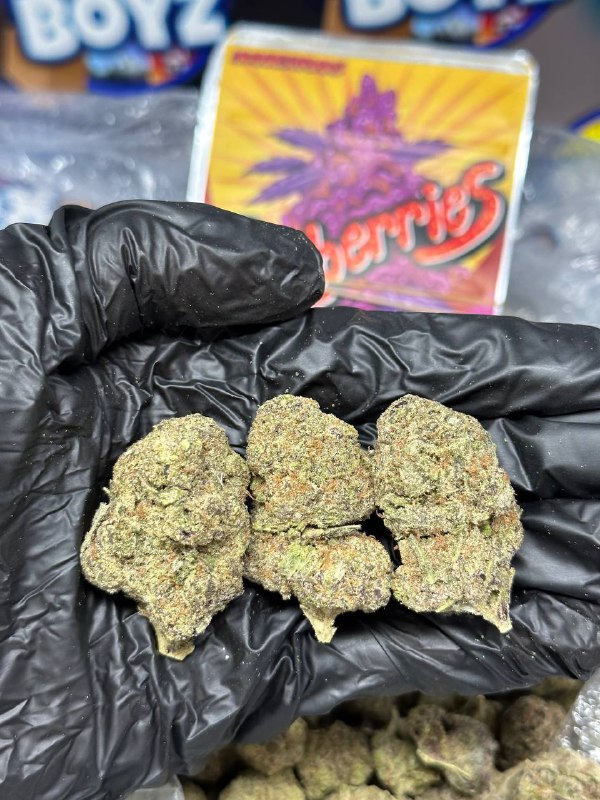 Zerberries strain