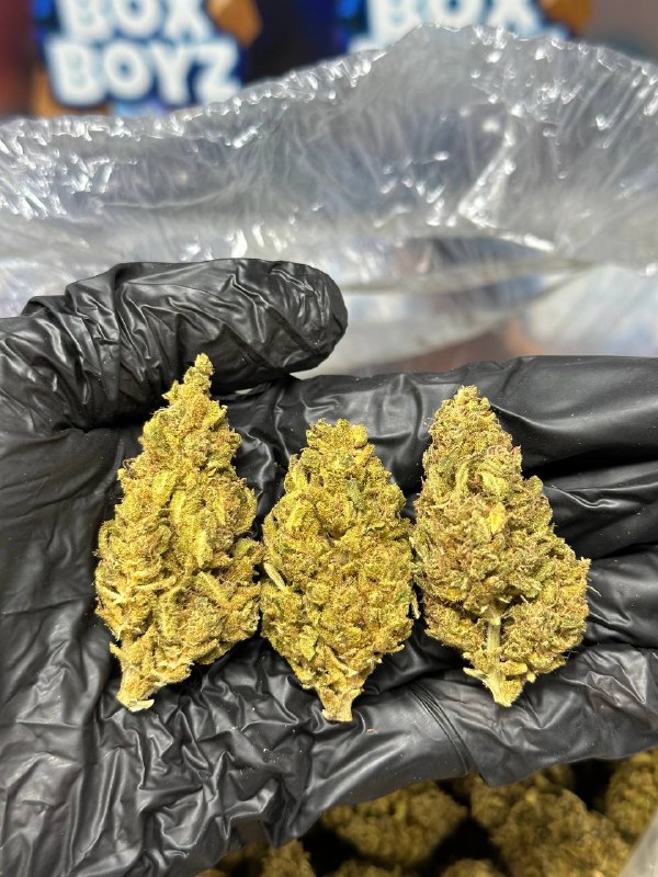 Pancake Mix strain