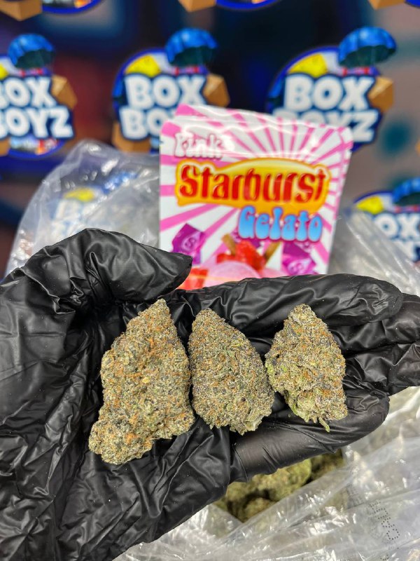 Pink Starburst Gelato Strain