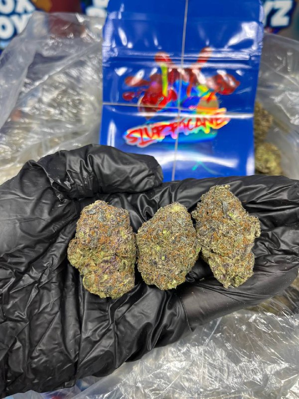 Slurricane Strain