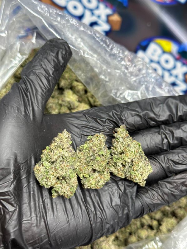 Sour Smarties Strain