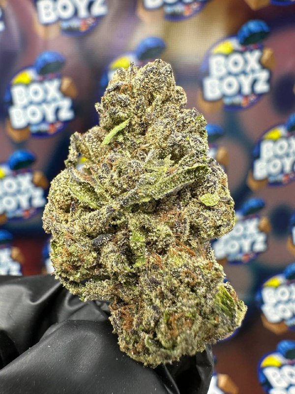 Angels breath strain