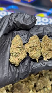 Monster Cookies strain