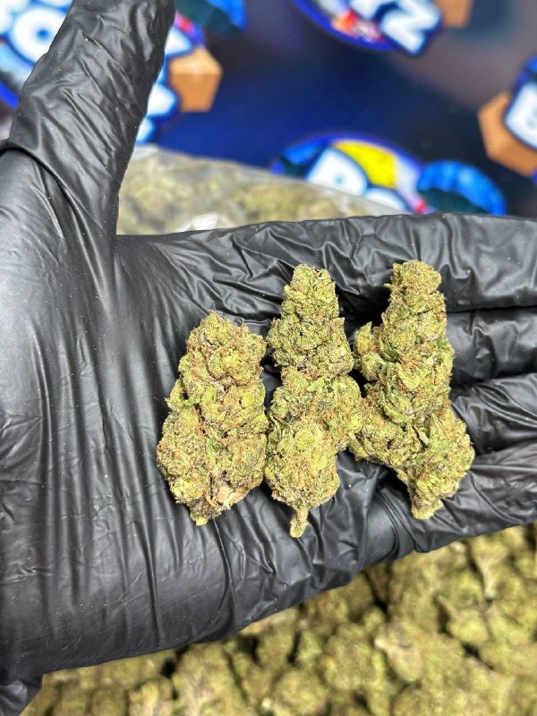 Pineapple Gobstopper strain