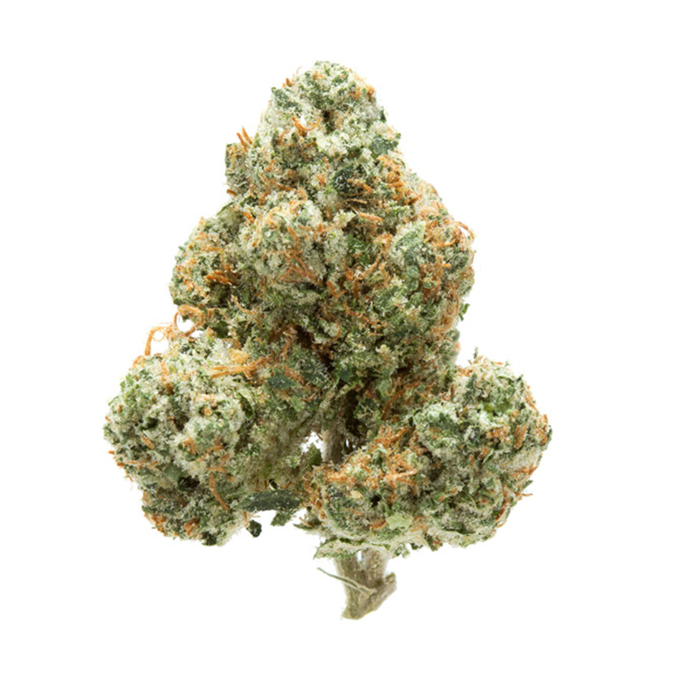 OG Kush – a qp