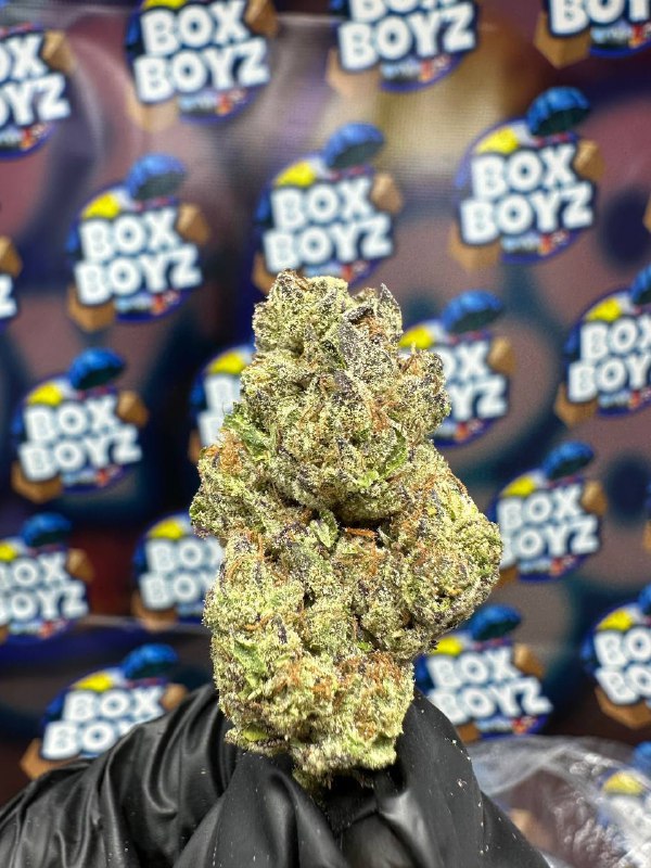 Peach Soufflé Strain