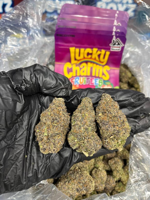 Lucky Charms Fruttiez strain