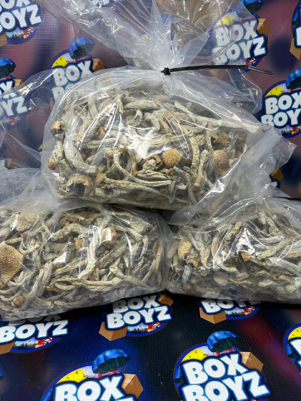 Golden cap Mushrooms🍄1LB