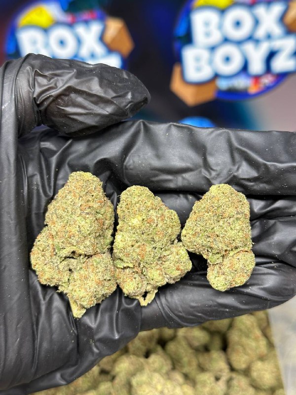 Black Cherry Soda strain
