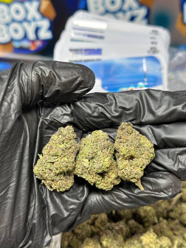 Very Cherry Strain