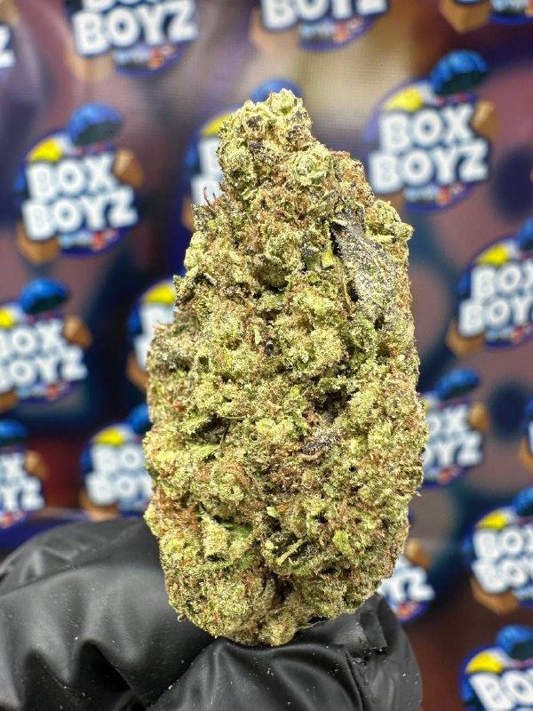 MK Ultra Strain