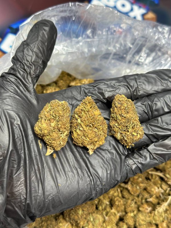 Passion Fruit Strain