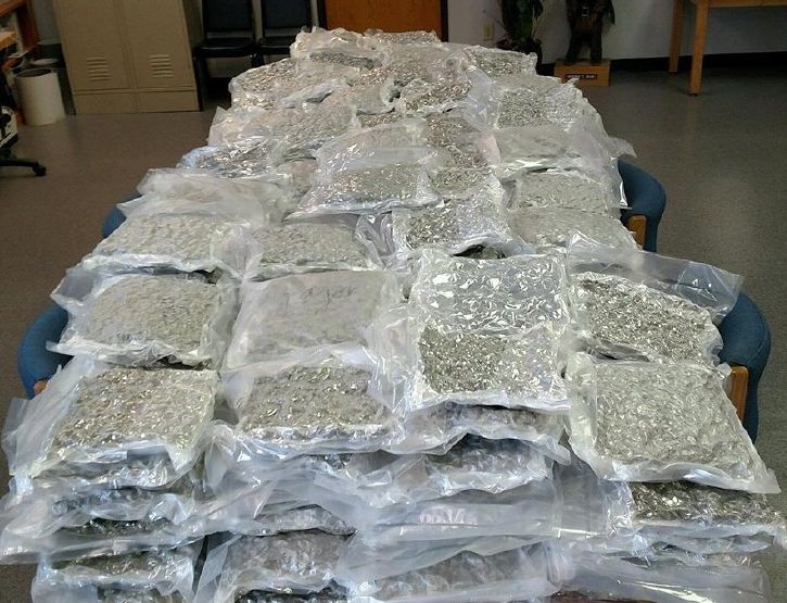 50 lbs pack