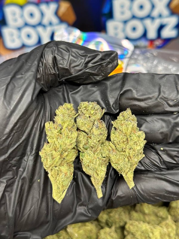 Gelonade Strain