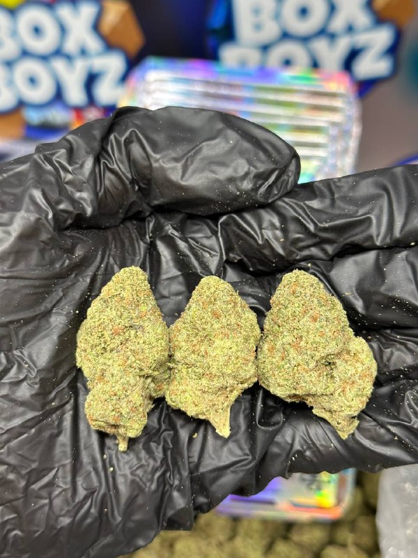 Trufflez 41 strain