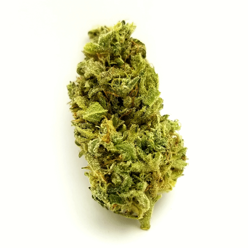 Durban Poison a pound - Image 3