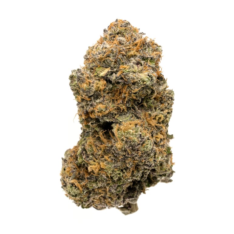 God’s Gift – a qp