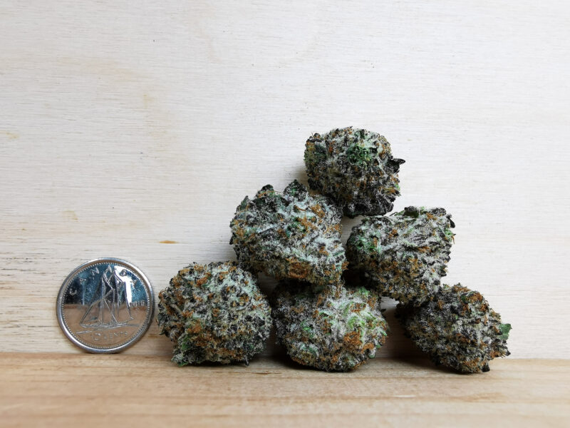 Green Valley’s AAAA Fortune Cookies Med. - Image 2