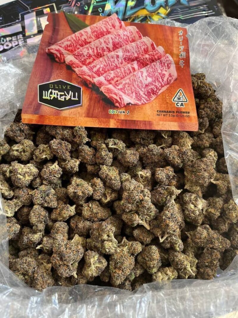 wagyu strain