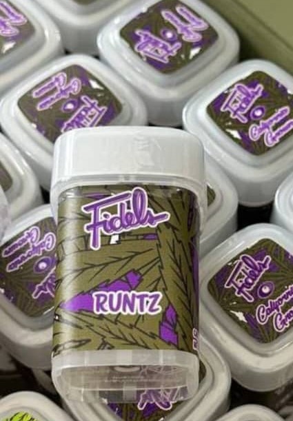 fidel runtz strain