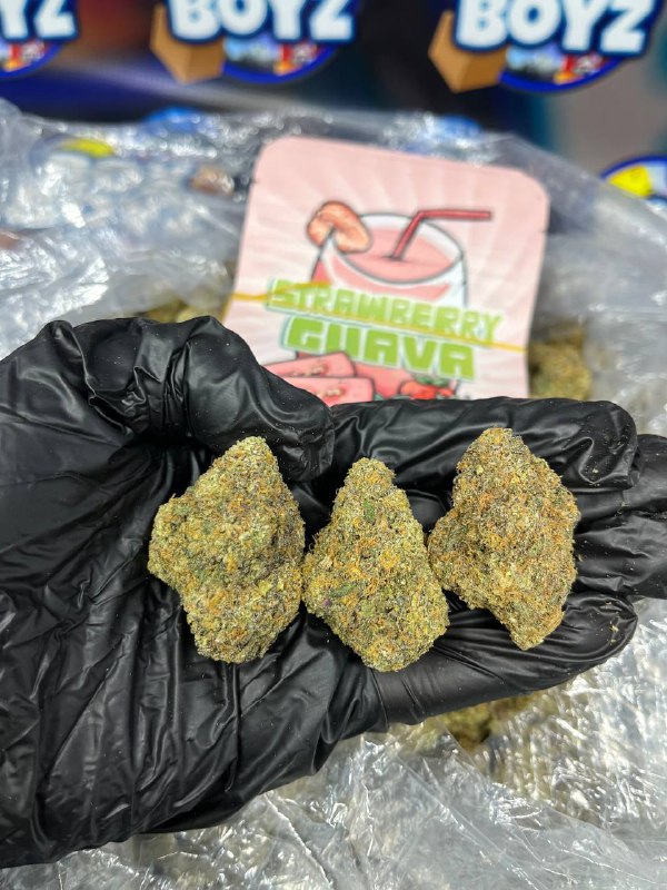 Strawberry Guava strain