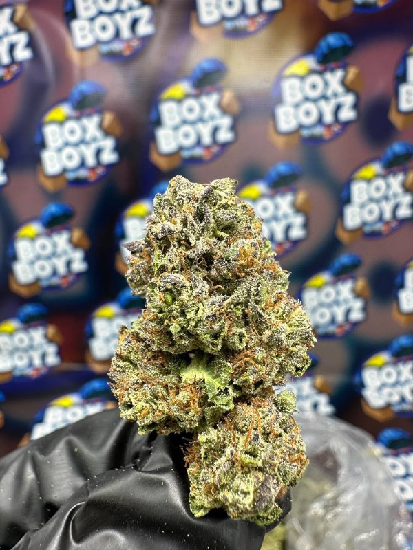 White Zlushie Strain