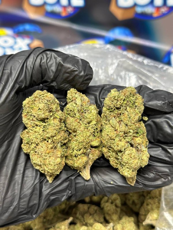 Rainbow Belts strain