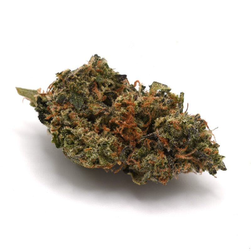 Black Tuna (AAA)