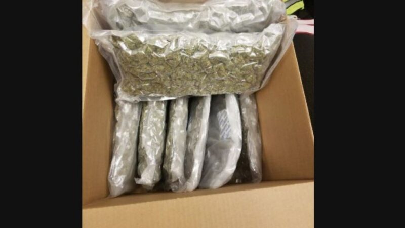 5 pounds