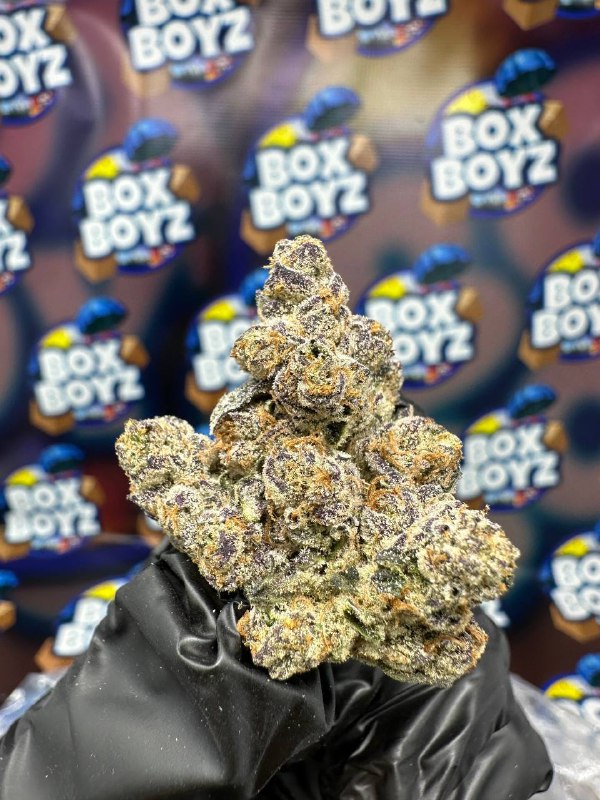 Shay Shay Treats Strain