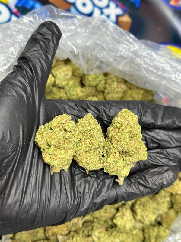 Strawberry Fanta Strain