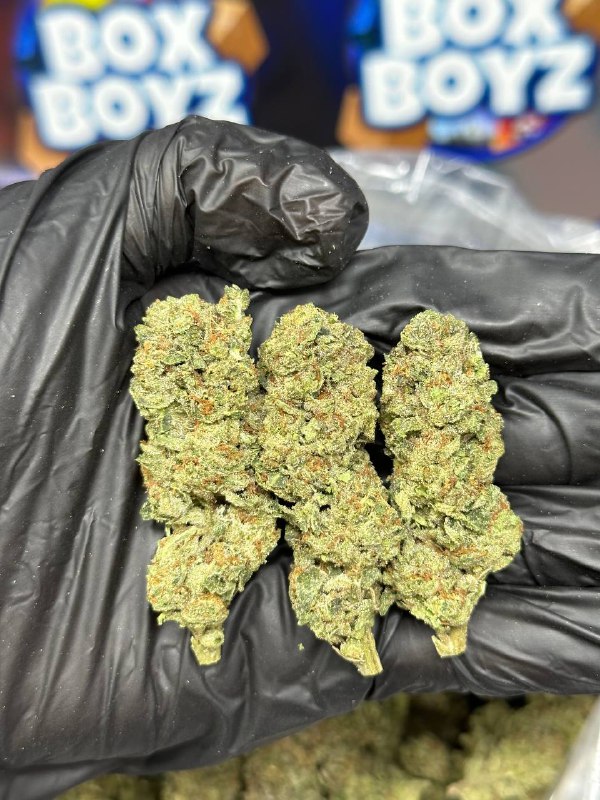 Zoap Punch strain