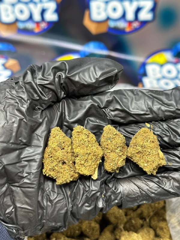 Candy Apple  strain