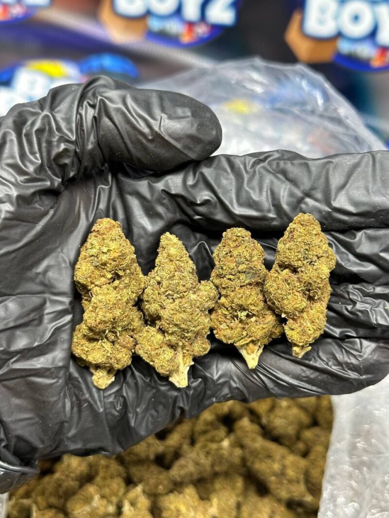 Sugar Rush strain