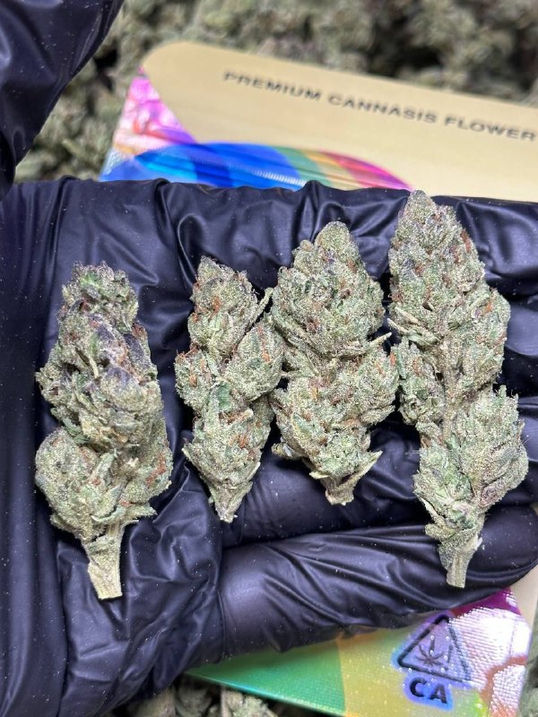 Rainbow Mochi strain