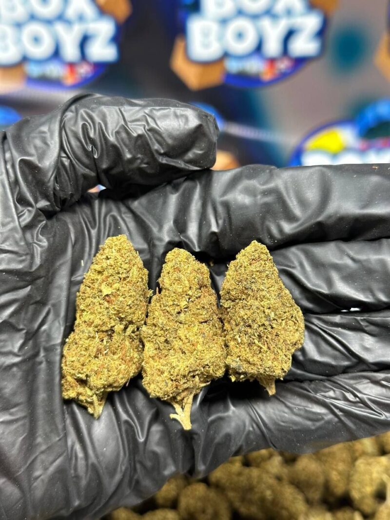 Peach Rings strain