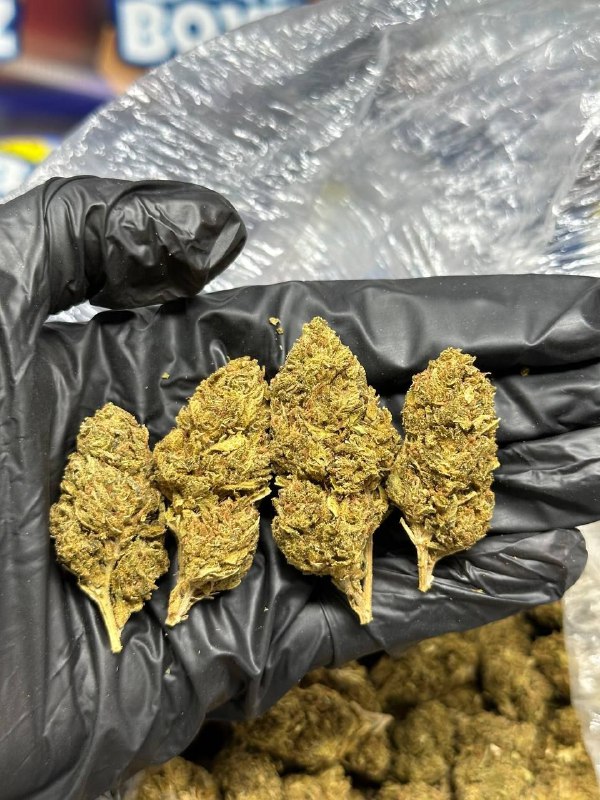 Maui Strawberry strain