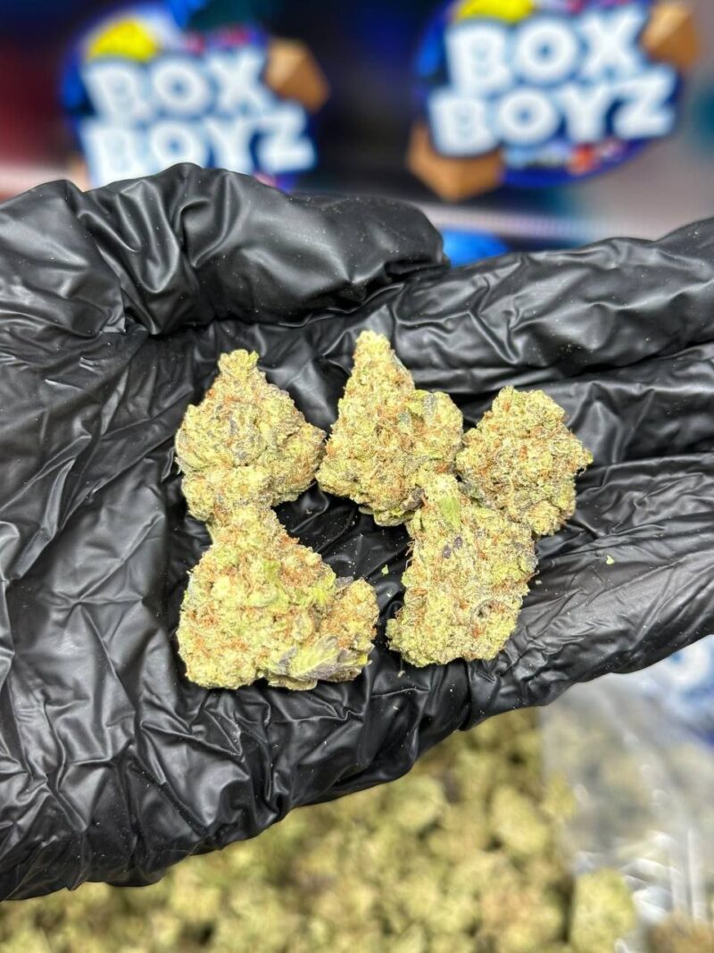 Rainbow Gelato strain