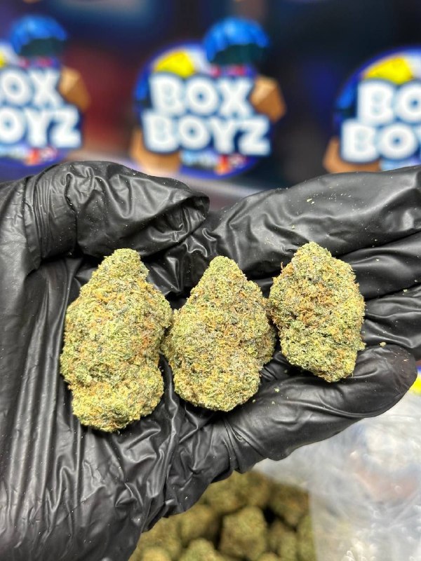 Sour Slushy strain