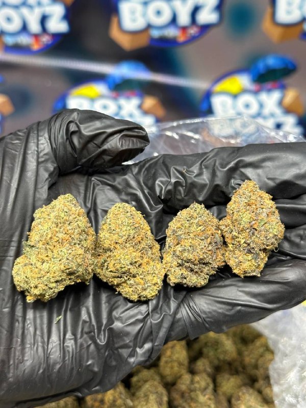 London Pound Cake strain