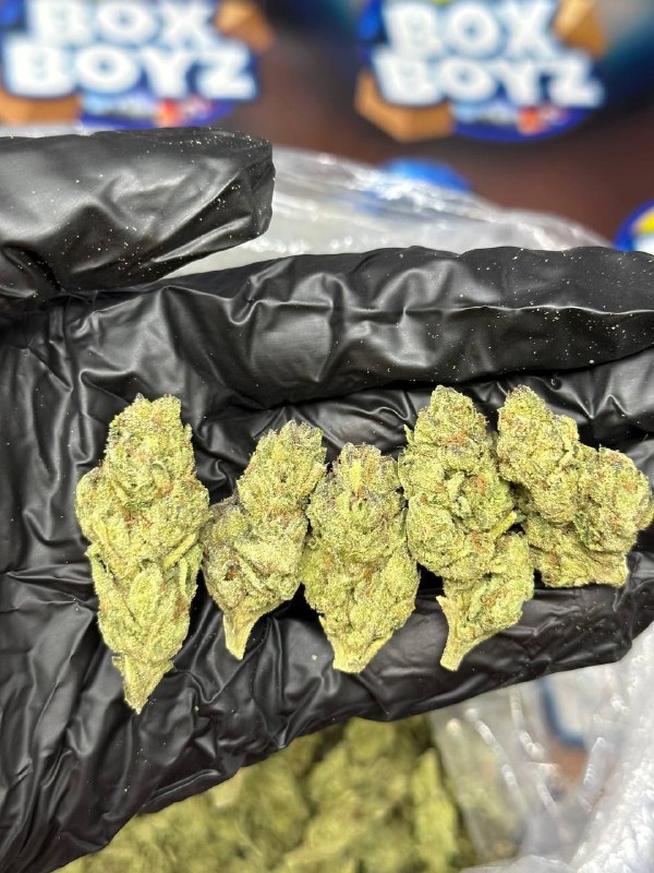 Tropical Frootiez strain