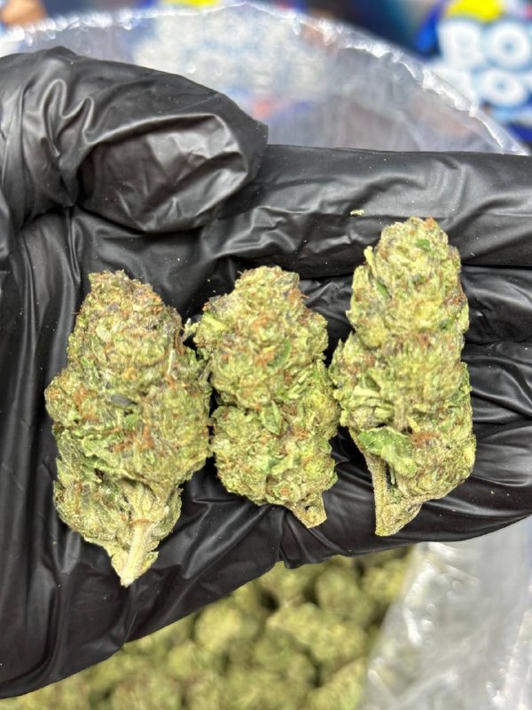 Sundae Cookies strain