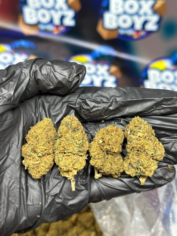 99 Octane strain